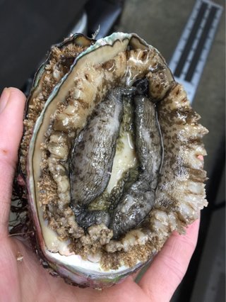 いつになったら男好きが治るんだろう？