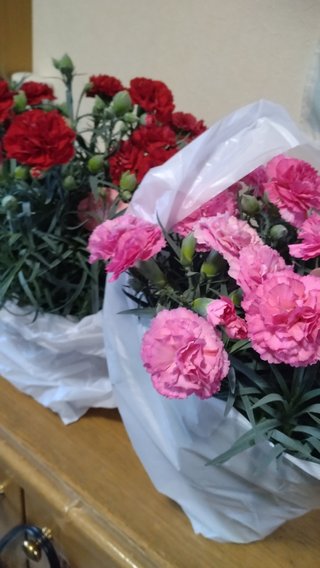 レス禁止 独り言