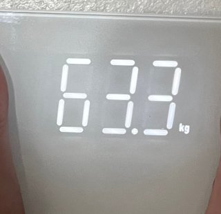 ダイエット9ヶ月計画