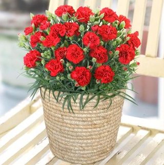 卍★ 閻魔道沙羅の刹堂 ★卍　