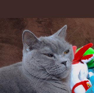 最強助産師外来ソラマメ