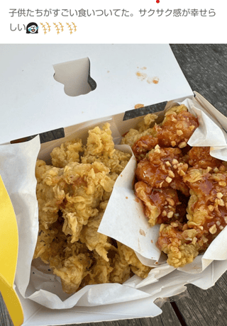 小林礼奈って人は有名人なの？