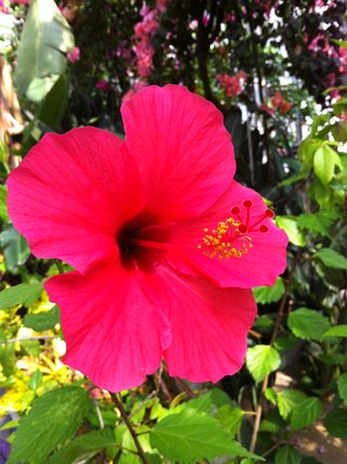 &#x{11:F8E2};なんでもいｰから&#x{11:F8E2};