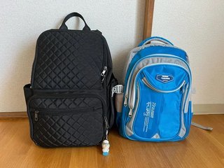 小林礼奈って人は有名人なの？