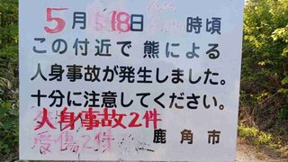 秋田・鹿角「山林で倒れている人がいる」不明者捜索中、警察官2人がクマに襲われけが