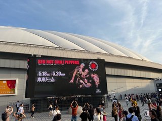 小林礼奈って人は有名人なの？