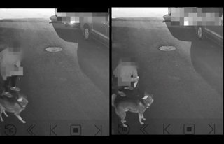 「1週間に1度、家の前に排せつ物」…韓国・犯人は犬でなく、まさかの「飼い主」だった