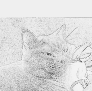 最強助産師外来ソラマメ