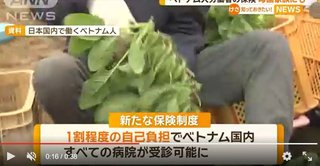 ベトナム人労働者の保険を1割負担で母国家族にも山梨県