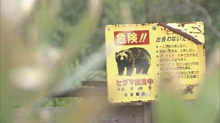 猟友会がクマの駆除辞退「この報酬ではやってられない」「ハンターを馬鹿にしている」北海道奈井江町
