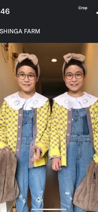 双子のあんりんちゃん