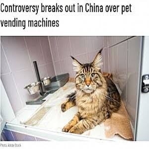 【中国】生きたネコの自動販売機に「動物虐待だ」と怒りの声【動画あり】