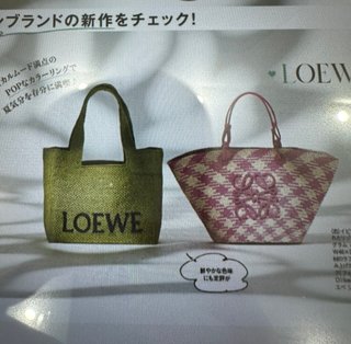 LOEWEのバッグどっちが好き？