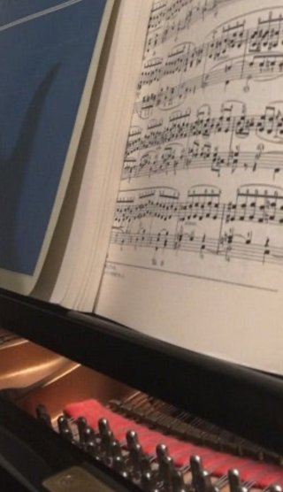 高校に入学して3日で不登校、2ヶ月後に自主退学。