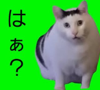 店員さんに「はぁ？」と言われた