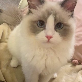 遠野なぎこ　好きな人だけ来て