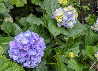 &#x{11:F8E2};なんでもいｰから&#x{11:F8E2};