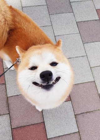 旦那と終わってるのかな？