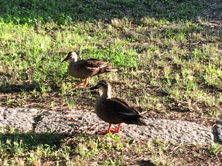 &#x{11:F8E2};なんでもいｰから&#x{11:F8E2};