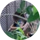 ゴミ屋敷にする義母シリーズ