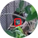 ゴミ屋敷にする義母シリーズ