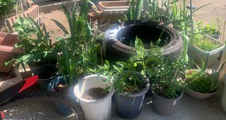 ゴミ屋敷にする義母シリーズ