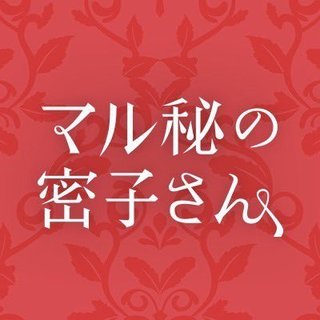 日テレ系『マル秘の密子さん』