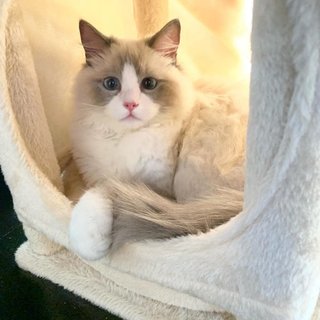 遠野なぎこ　好きな人だけ来て