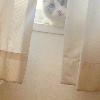 遠野なぎこ　好きな人だけ来て