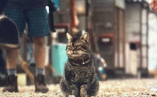 テレ東『季節のない街』4月5日(金)24時42分スタート