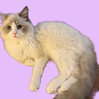 遠野なぎこ　好きな人だけ来て