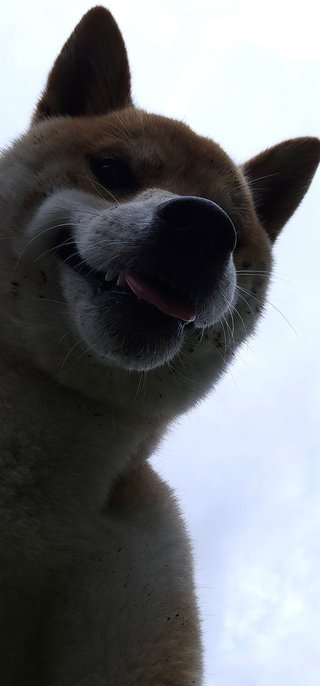 あれ？梅雨じゃないの？雨季は？