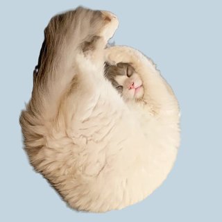 遠野なぎこ　好きな人だけ来て