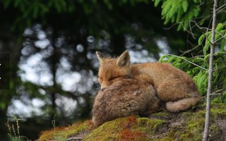 レス禁止 独り言