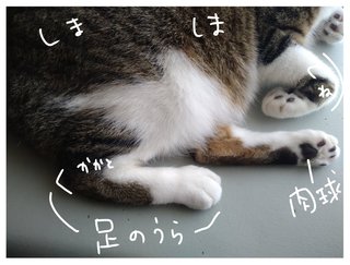 雨で暇よな　これ知ってた？