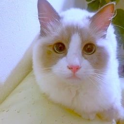 遠野なぎこ　好きな人だけ来て