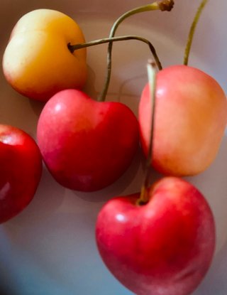 今日のおやつは何ですか？・総合