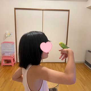 鳥好きさん、いませんか？