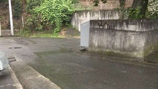 降ろしたばかりの乗客をバックではね死亡させた疑い タクシー運転手（62）逮捕
