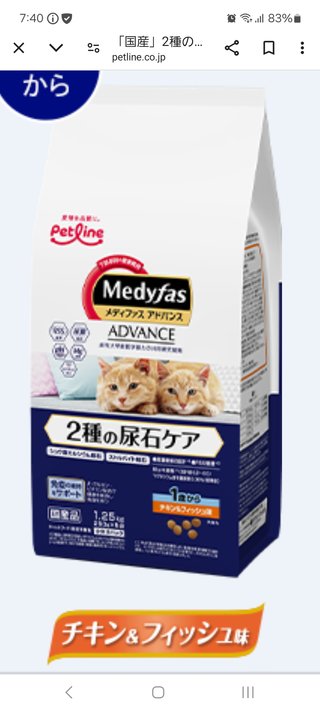 この猫のご飯、どうですか？