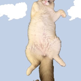 遠野なぎこ　好きな人だけ来て