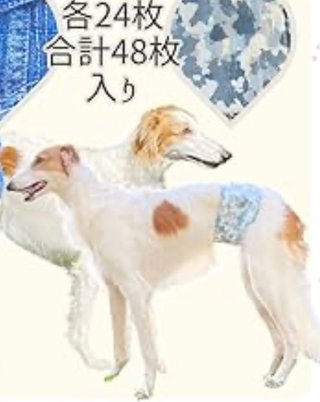 犬のマナーウェアのモデル犬って