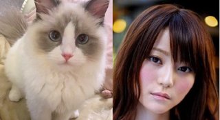 遠野なぎこ　好きな人だけ来て