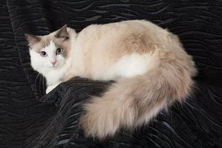 遠野なぎこ　好きな人だけ来て