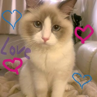 遠野なぎこ　好きな人だけ来て