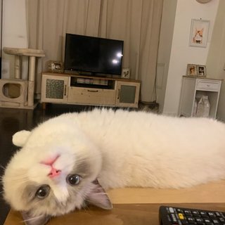 遠野なぎこ　好きな人だけ来て