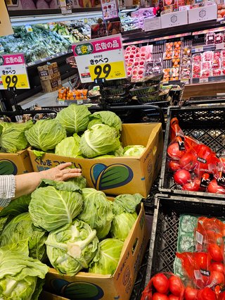 ついこないだ600円くらいしてたキャベツが