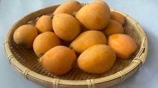 給食のビワで児童生徒126人にアレルギー反応　1人が入院【山梨県】