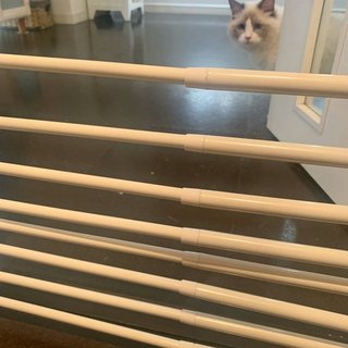 遠野なぎこ　好きな人だけ来て