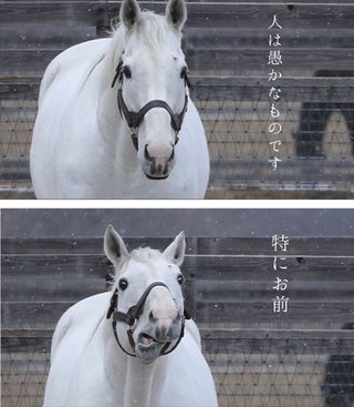 匿名笑笑をさがそう